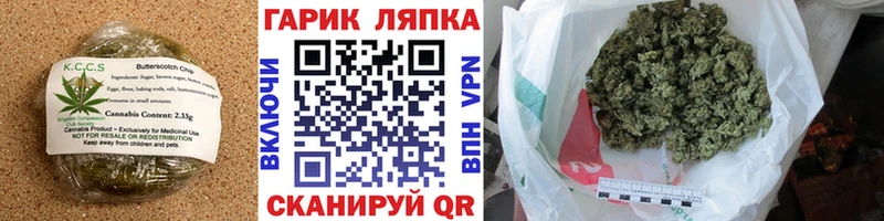 Canna-Cookies марихуана  Купить  Сегежа 