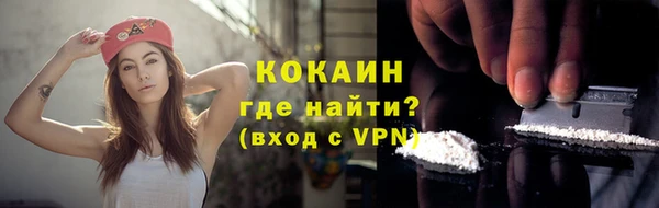 трава Коряжма