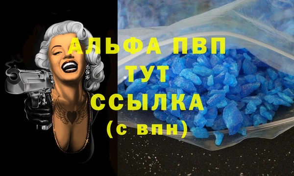 ПСИЛОЦИБИНОВЫЕ ГРИБЫ Корсаков