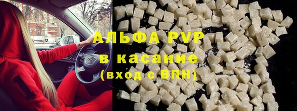 трава Коряжма