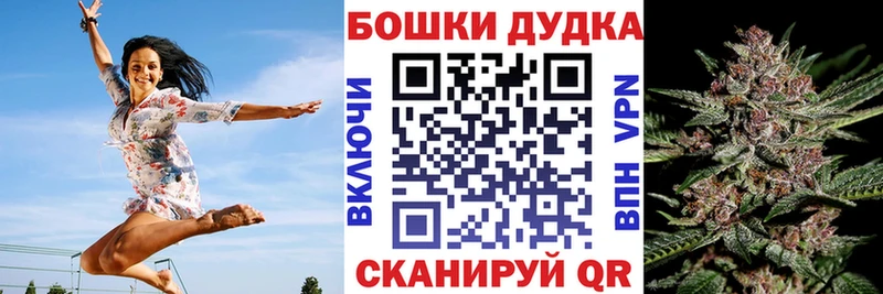 Купить закладки  Сегежа  Бошки Шишки Bruce Banner 